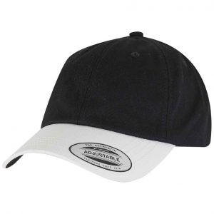 Flexfit Low Profile Two Toned Classic Cap 6245CMT